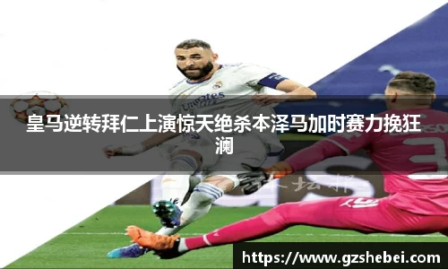 雷火电竞官方网站入口