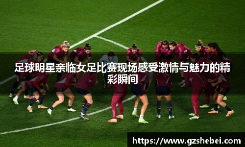 雷火电竞官方网站入口