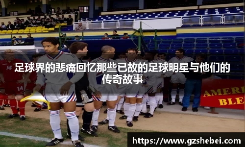 雷火电竞官方网站入口